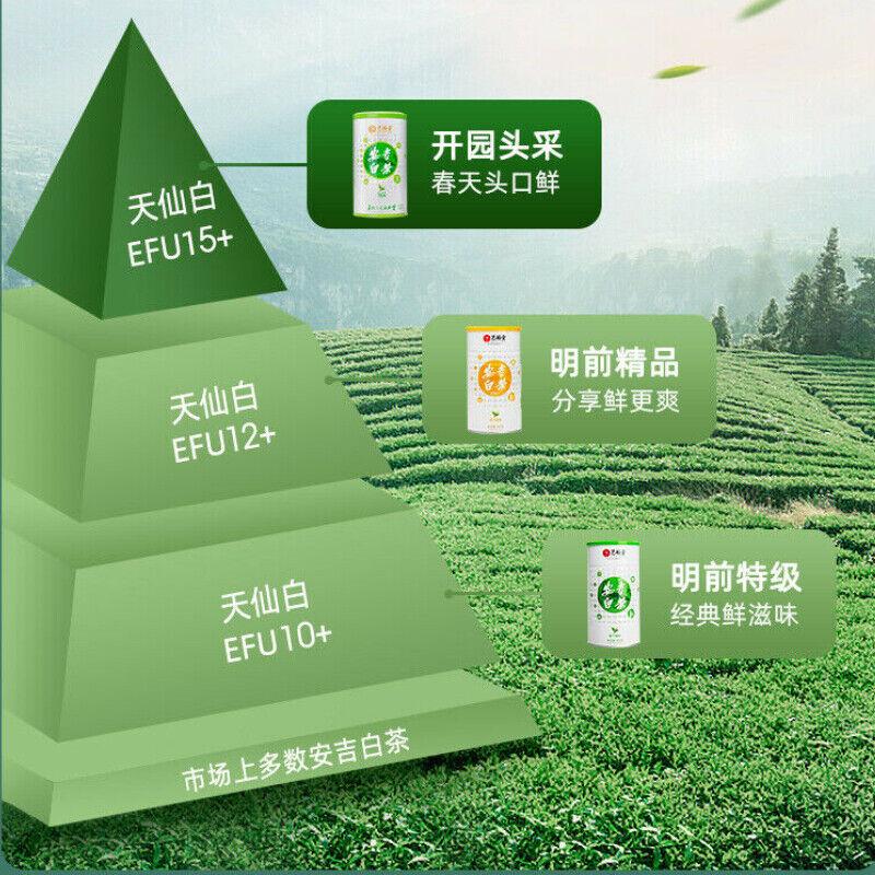 100g Anji Baicha White Tea Časné jaro Zelený čaj One Bud Jednolistový čínský čaj