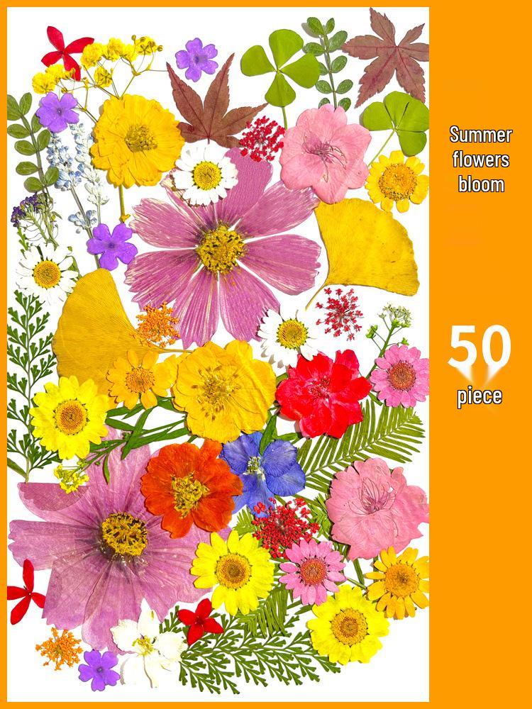 Creative DIY Bookmark Kit: Blank Cards with Embossed Dried Flowers and Leaves