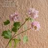 Milk-Flavored Cloud Hydrangea Artificial Flowers for Green Plants and Wedding Crafts INS Decoration