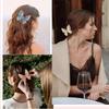 Small Size Butterfly Hair Clip Acetate Shark Clip Fashion Claw Clip  Women & Girls