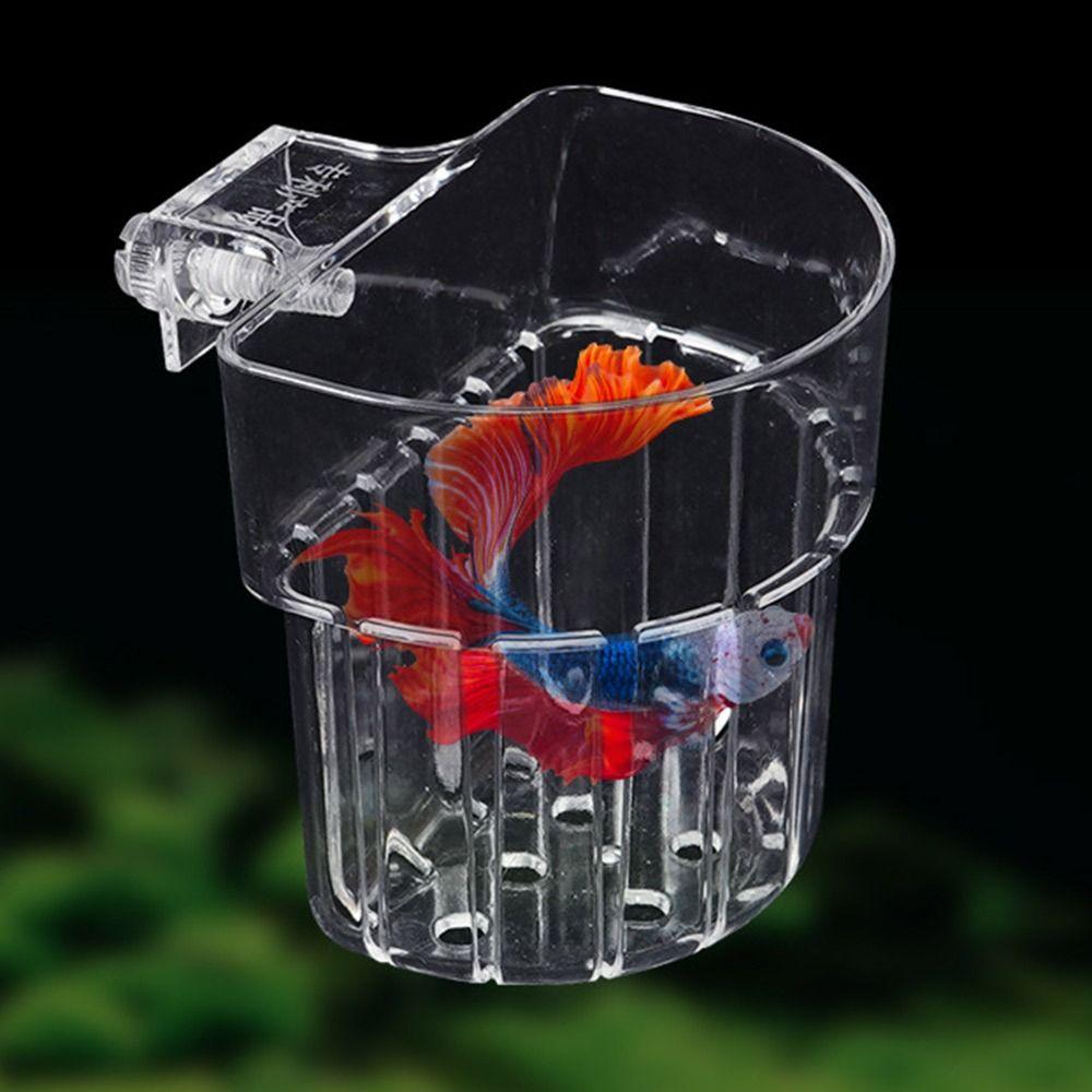 Transparent Hydroponic Planting Cup Fish Tank Plant Cup  for Fish Tank Landscape Decoration