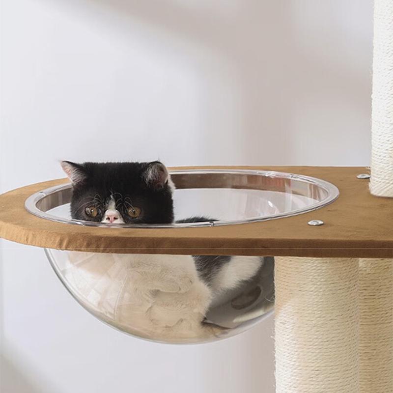 Solid Wood Cat Tree Large Pets Cat Sleeping Tree Transparent Cabin Kitten Tower Pet Toy Accessories Nap Scratching Post for Cats