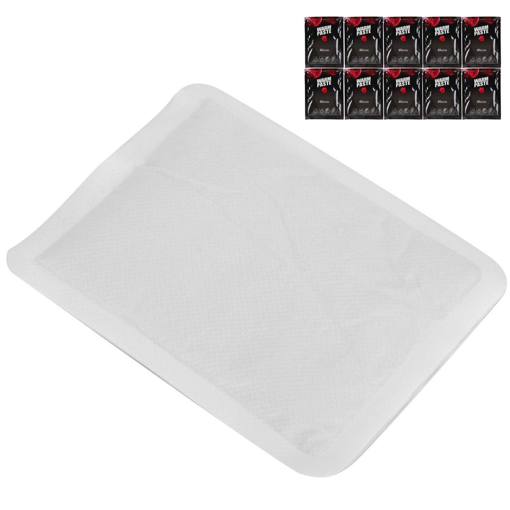 10Pcs Reptile Heating Warmer Heat Transport Warm Paste for Tortoise Spider Scorpion 40h