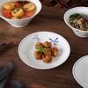 ZISIZ Underglaze Ceramic Dinner Plate