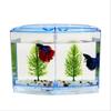 With Water Grass Plastic Betta Isolation Box Single/Double Grid Transparent Betta Fish Tank Fish Breeder Box Office Fish