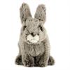 Carolata Japanese Rabbit Plush Toy (Real Animal BabySoft to the Touch) Real Rabbit Animal Baby Toy Doll Gift Present Birthday (Checked twice) 