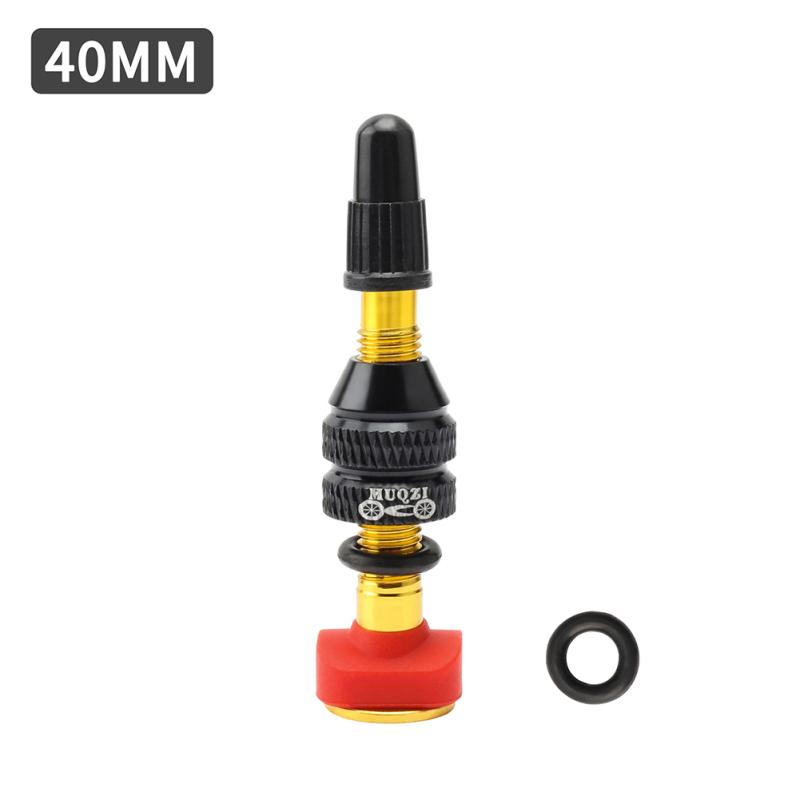 Bicycle Tubeless  Tire  Presta  Valve For Mtb Road Bicycle Cycling Core Valve Tool