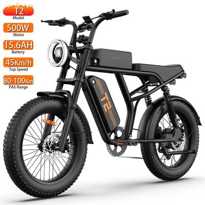 Urlife T2 Electric Bicycle 20" Fat Tire 500W Motor All Terrain Adult Electric Bike 7 Speed Dual Disc Brakes Max Load 120Kg
