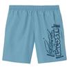 Lacoste Mens Logo Swimming Trunks