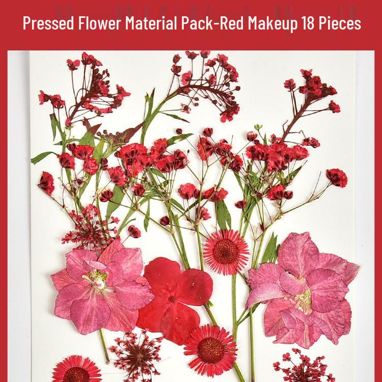 Autumn Dried Flower Bookmark Kit: Transparent Leaf Specimen with Lamination Film Stickers