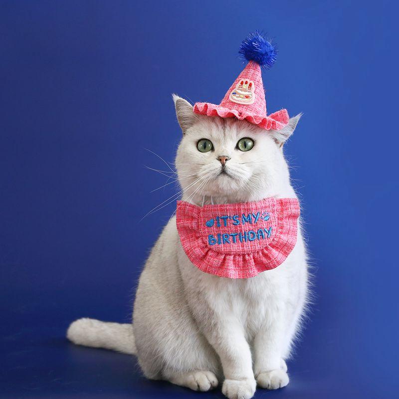 Pet Birthday Hat Bib Party Hat Cat Puppy Lace Saliva Towel Dog Bandana Scarf Dog Birthday Dress Up Photography Props Supplies