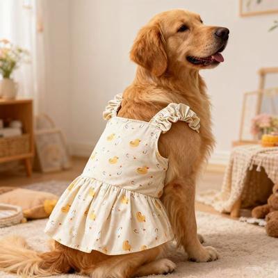 Giyim ve ayakkabı – Köpek elbiseleri