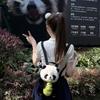 Panda plush backpack, bamboo shoot doll backpack, children's backpack