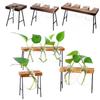 Vintage Bonsai Flower Pot Hydroponic Plant Vases Glass Vase Terrarium Tabletop Tray Wooden Frame Home Decor
