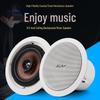Shile AV8820+BX206 Ceiling Speaker System (CN version)