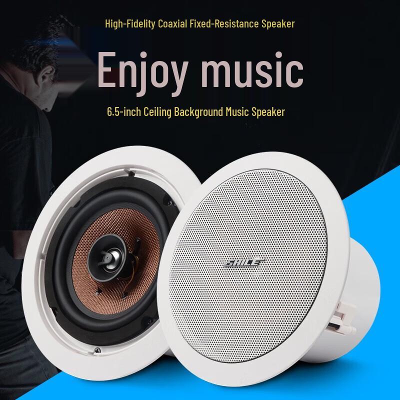 Shile AV8820+BX206 Ceiling Speaker System (CN version)