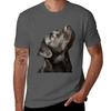 WE BUILD LABRADOR TShirt Regular Fit Plain Tee Shirt