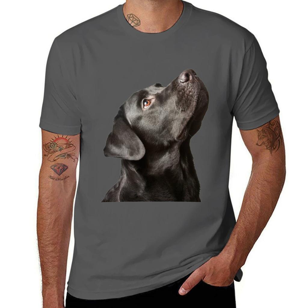 WE BUILD LABRADOR TShirt Regular Fit Plain Tee Shirt