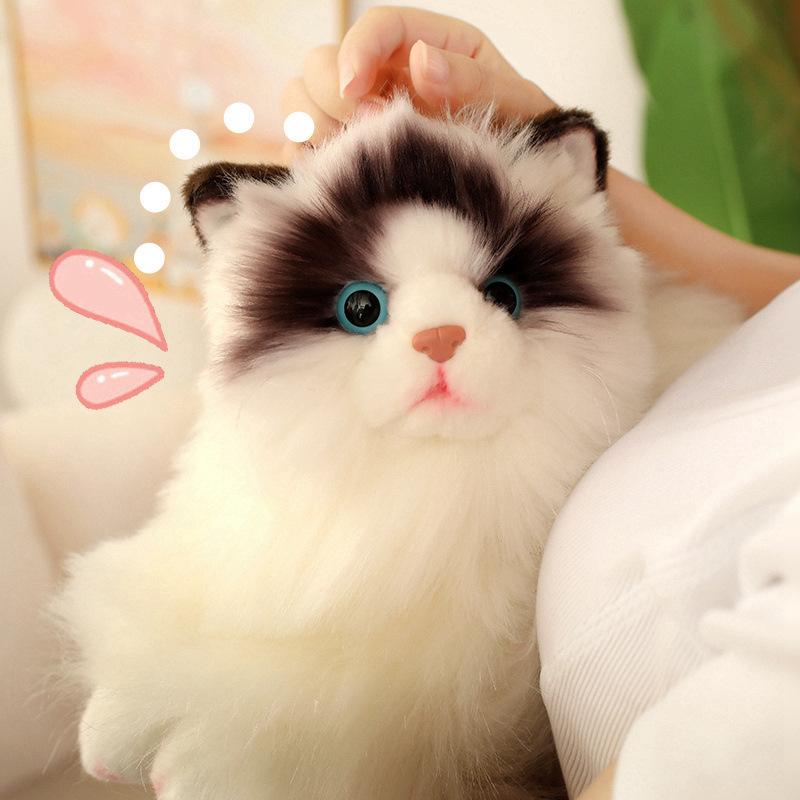 Simulated Ragdoll Cat Doll Sleeping Pillow Doll Doll Kitten Plush Toy Children's Birthday Gift Girl