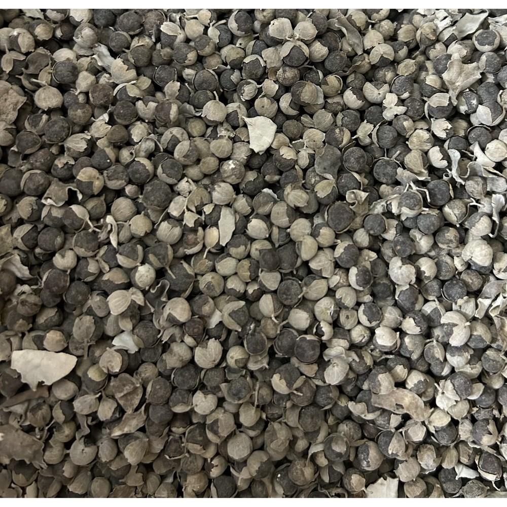 Domestic Native Vitex Seeds - 500 g 1 pcs 500 grams
