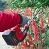 KAZZ KZ327C 21V Brushless Cordless Tea Harvester CN plug (adapter included)