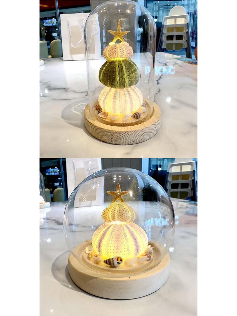 Sea Urchin Shell Jellyfish Night Light: Heart-Shaped Ornament for Mother's Day or Birthday