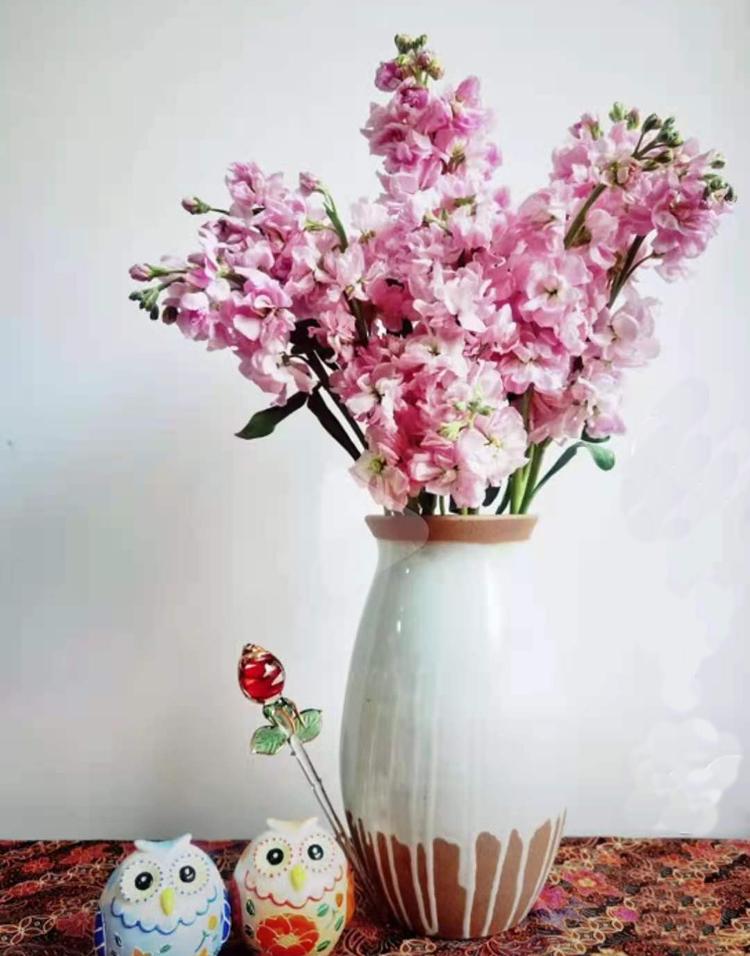Modern Minimalist Ceramic Vase for Creative Floral Displays