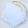 Feather 18-22Cm Ostrich Hair Cloth Edge Extended Feather Lace Wedding Dress Morning Robe Clothing Accessories