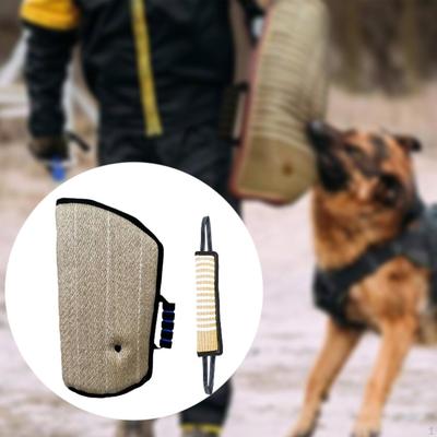 Köpek – Eğitim ve Öğretim Araçları