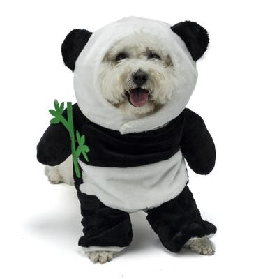 Halloween Pet Costumes: Funny and Quirky Cat and Dog Transformation Outfits, 3D Panda and Dog Costumes