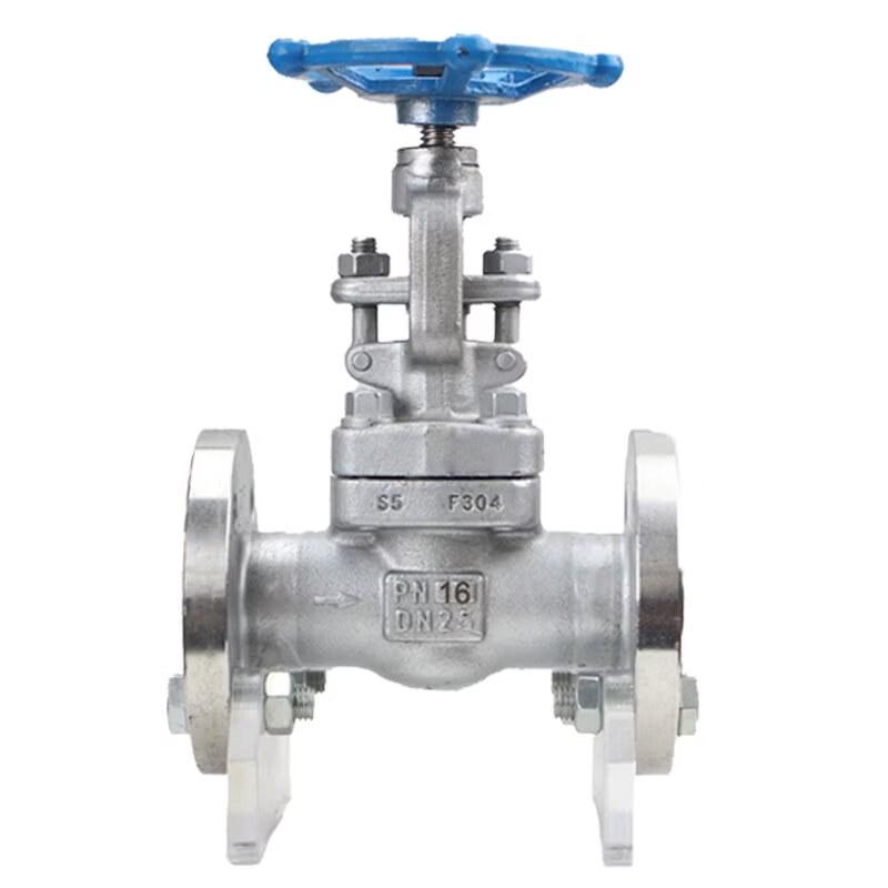 

Forged Stainless Steel Flanged Globe Valve