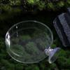 1PC Practical Durable for Fish Tank Transparent Acrylic Shrimp Food Box Fish Feeding Dish Shrimp Feeder Fish Feeding Bowl
