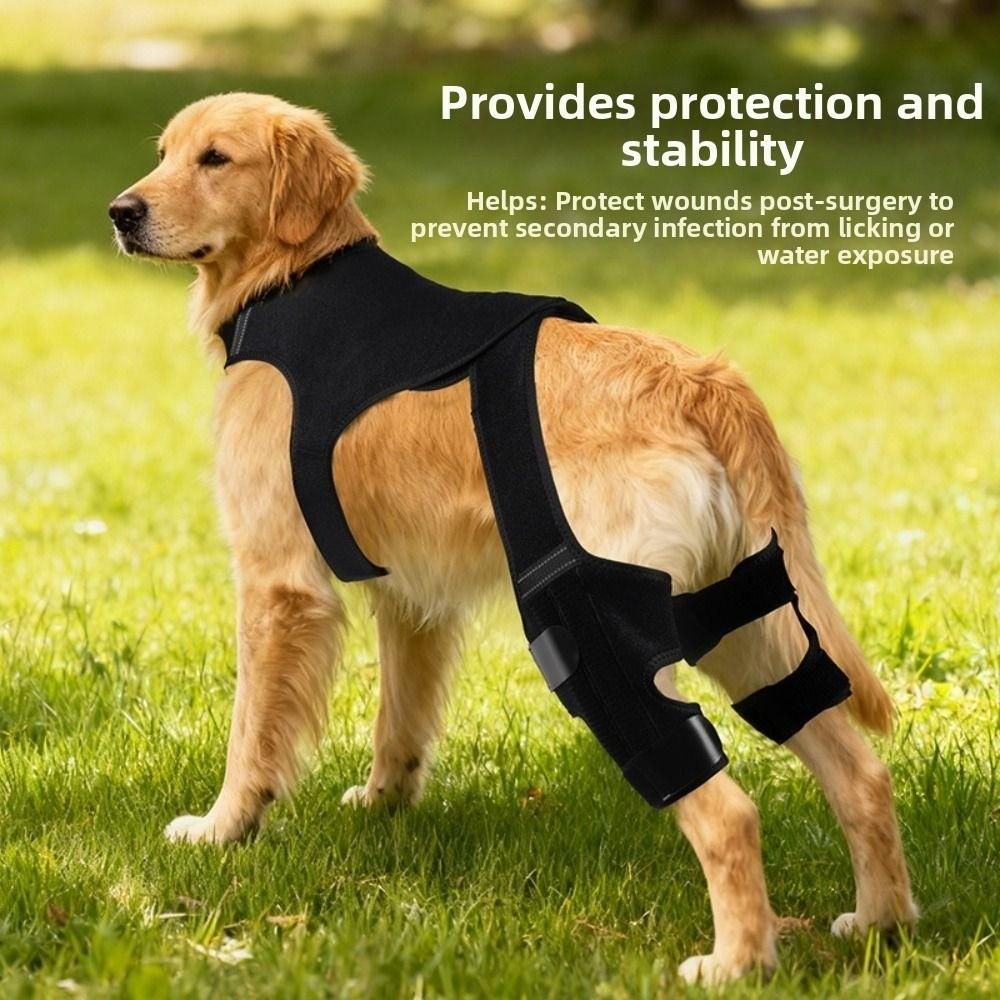 Reflective Design Dog Rear Leg Brace Adjustable Elbow Protection Cover Post-Operation Care