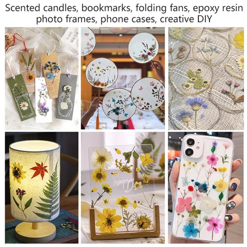 Dried Flower Leaf Kits for Epoxy Jewelry Molds Scrapbooking Supplies and Artistic Soap Making Phone Case Decoration
