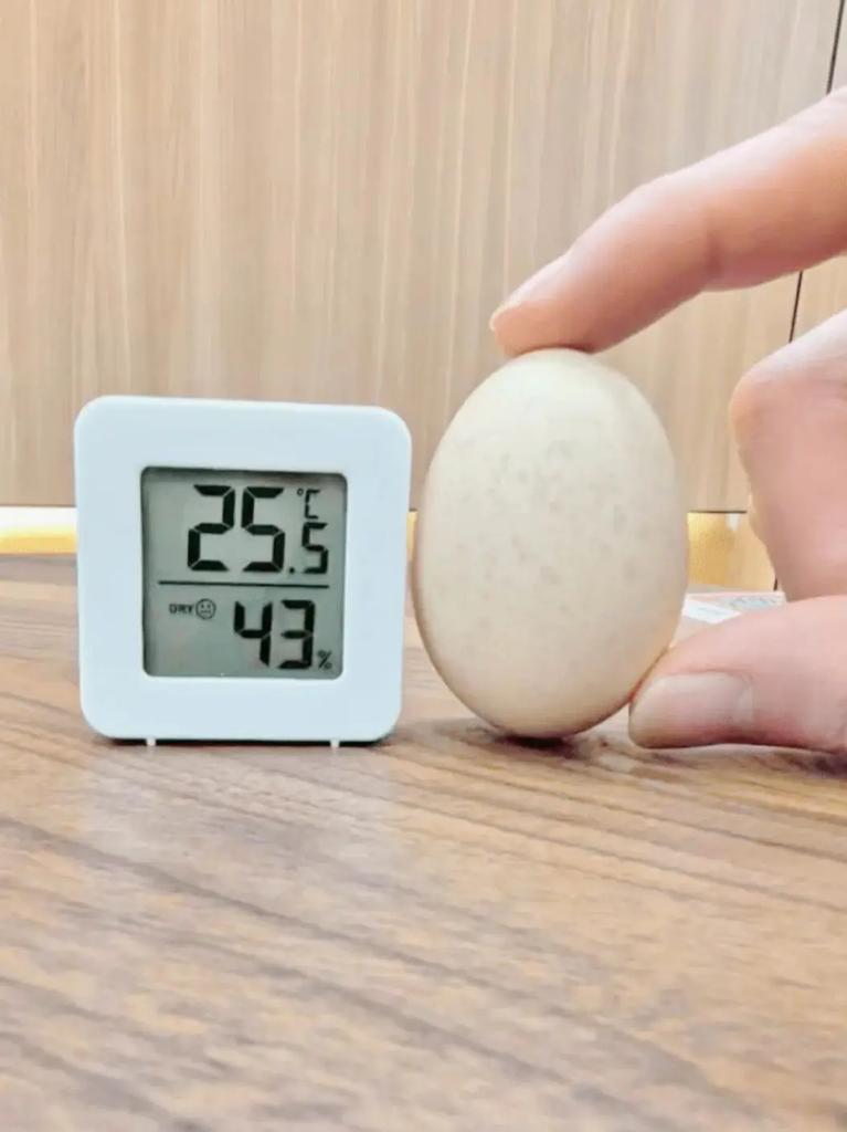 Digital Indoor Humidity Gauge Monitor Mini Hygrometer Thermometer With Temperature Meter Sensor Centigrade