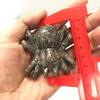 Natural Crystal Fire Stone Spider Sculpture - Home & Office Decoration Ornament