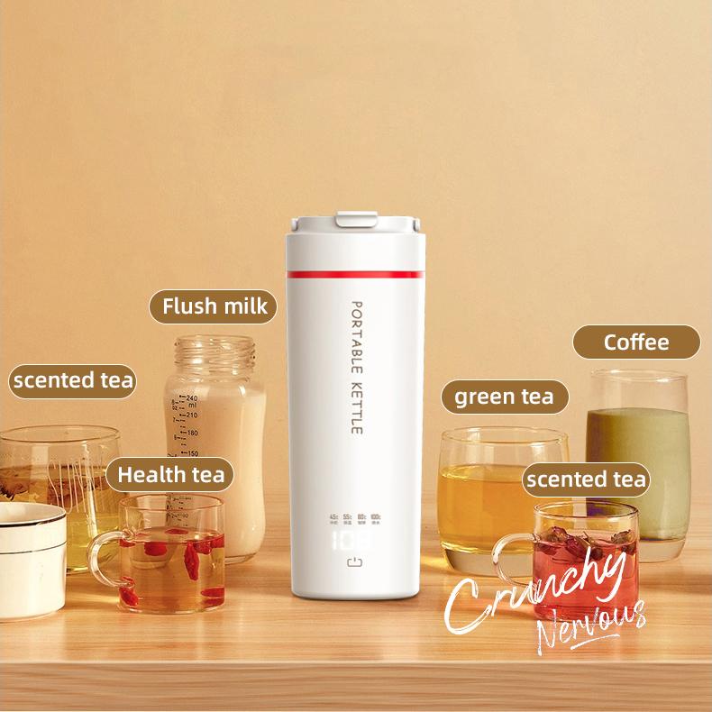 Mini rychlovarná konvice na 220 V 450 ml multifunkční nahřívací šálek šálek na dušení Hrnec na konzervování zdraví Termo konvice Přenosná cestovní konvice