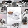 MILIFUN Cat Bowls, Cat Food Bowls Elevated Tilted, Anti Vomiting Kitty Bowl for Puppy and Bunny, Orthopedic for Indoor Cats.