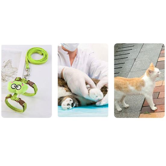 Katzenleine Starkes Westendesign Wiederverwendbarer Gurt Sicherheitsseil für Draußen