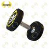 Rubber-Coated Round Head Dumbbell