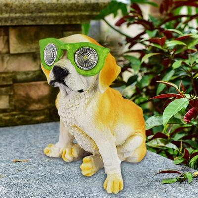 Giyim ve ayakkabı – Köpek Aksesuarları