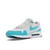 Nike Air Max 1 '86 OG Golf White Pure Platinum Black Dusty Cactus Men's Golf Shoes DV1403-117