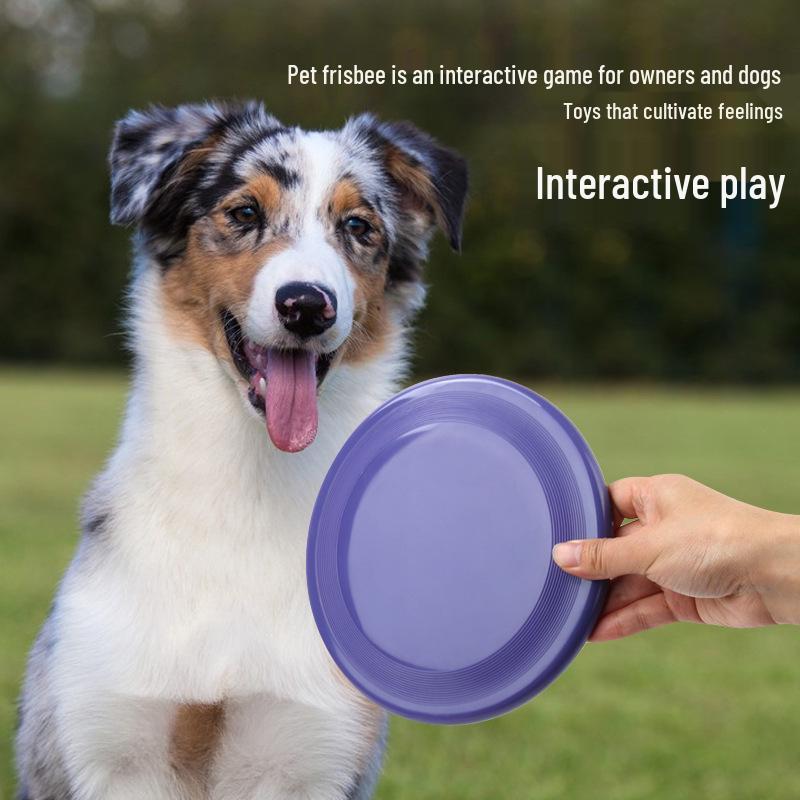 Hundträning Interaktiv Flytande Bitbeständig Frisbeeleksak