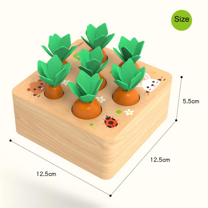 Montessori Toy Set Baby Wooden Pull Carrot Shape Matching Size Cognition Kids Early Education Puzzle Sensory Toy For Children