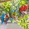 Pingente de Papagaio, Resina Impermeável Decoração de Jardim ao Ar Livre com Suspensão de Anel de Ferro, Ornamento Realista de Par de Araras para Pendurar em Varandas, Árvores, Interior