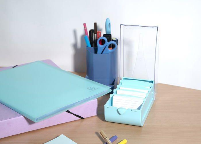 Housse de rangement - exacompta - a8 - 100 cartes lignées - 5 intercalaires - vert pastel/cristal