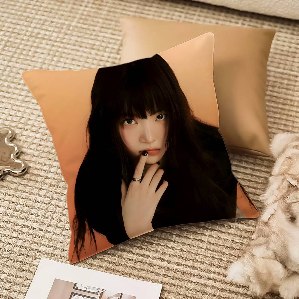 

HHong EEunchae Personalized Pillow Case Antidustmite Pillowcase Invisible zipper silky plush Sofa 30X30cm