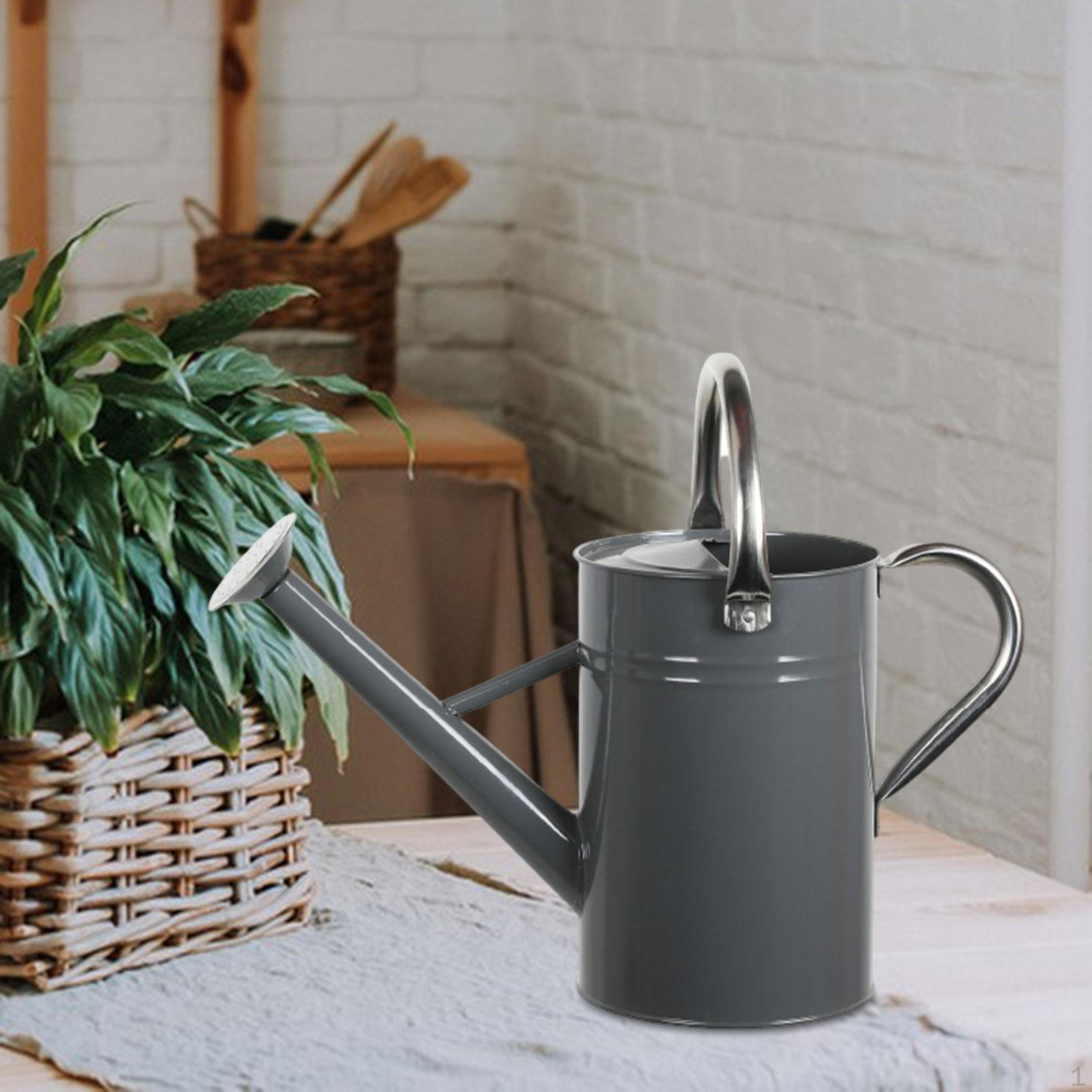 

Металлическая лейка 5 л для растений с эргономичной ручкой и съемным носиком