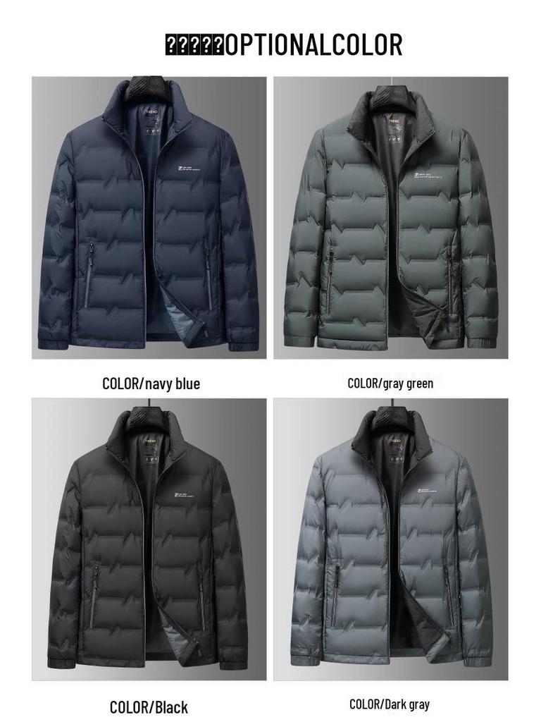 Men's Lightweight Duck Down Jacket - Stand Collar, Winter Warm, Ideal for Business & Casual Wear