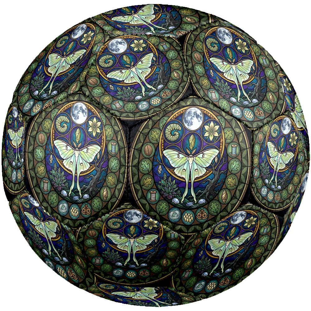 Luna Moth Life Cycle Round Football Size 5 Adult Ball Suitable for Training Matches and Outdoor Team. разноцветный